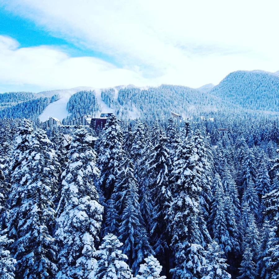 Mountain Paradise In Aparthotel Borovets Gardens Luaran gambar