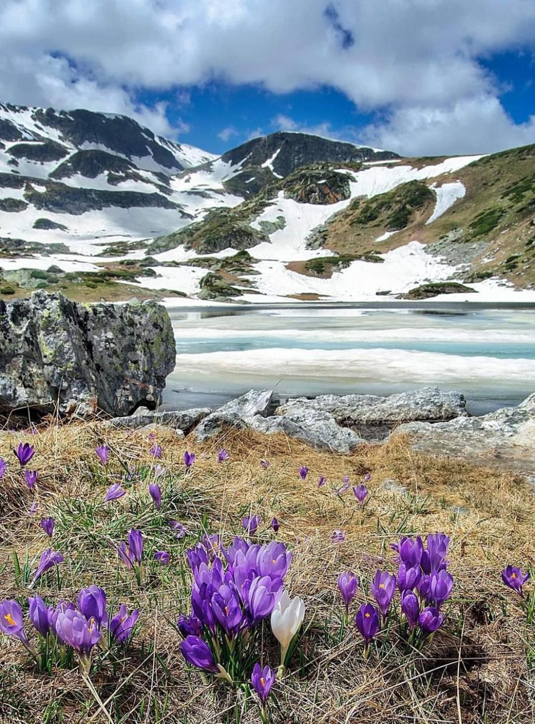 Mountain Paradise In Aparthotel Borovets Gardens Luaran gambar